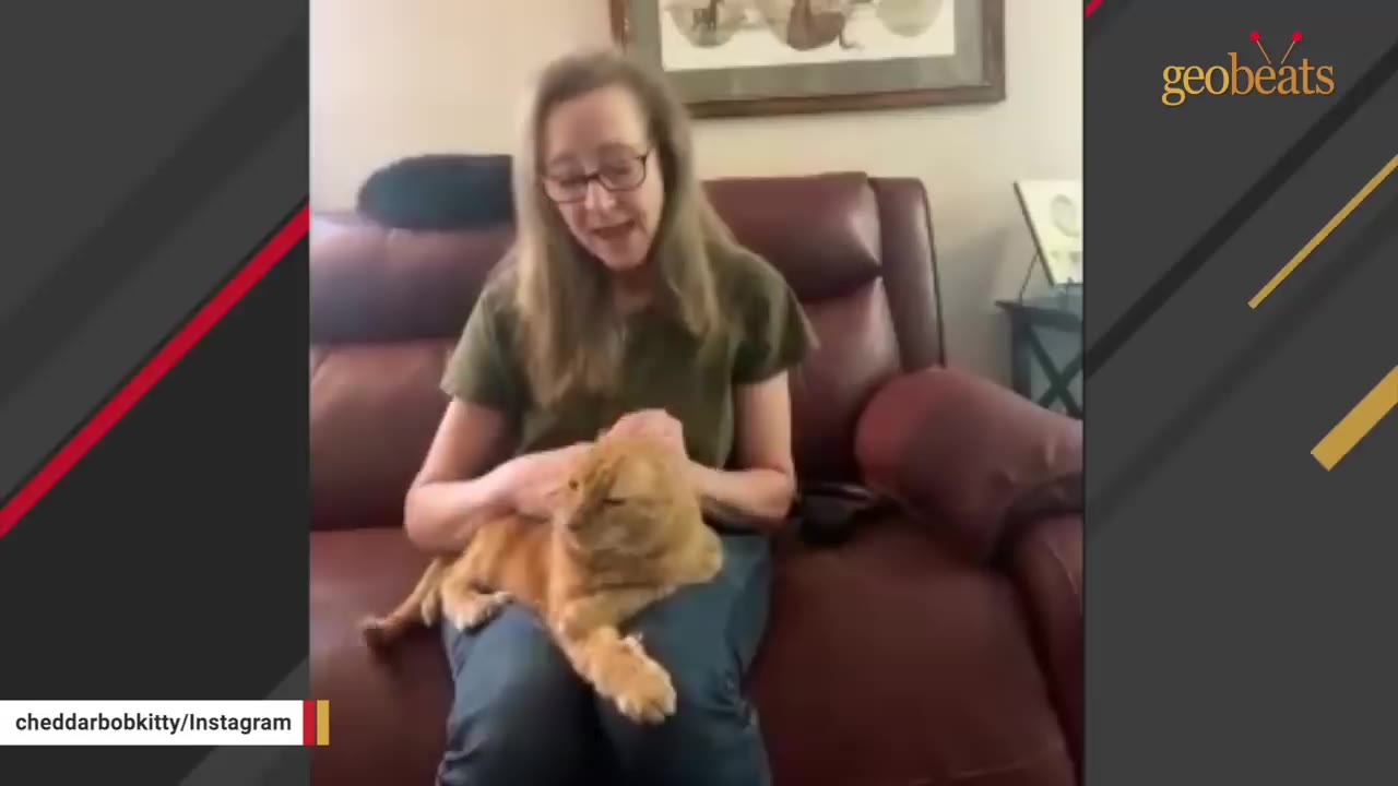 A woman with glasses sits on a brown leather couch, gently petting an orange cat resting on her lap.