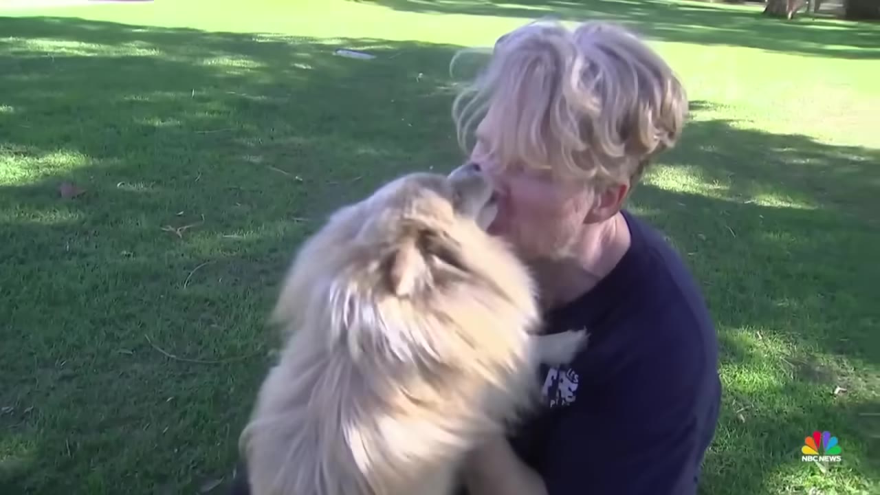 A fluffy, light-colored dog licks the face of a smiling blonde man while sitting together on a green grassy lawn.
