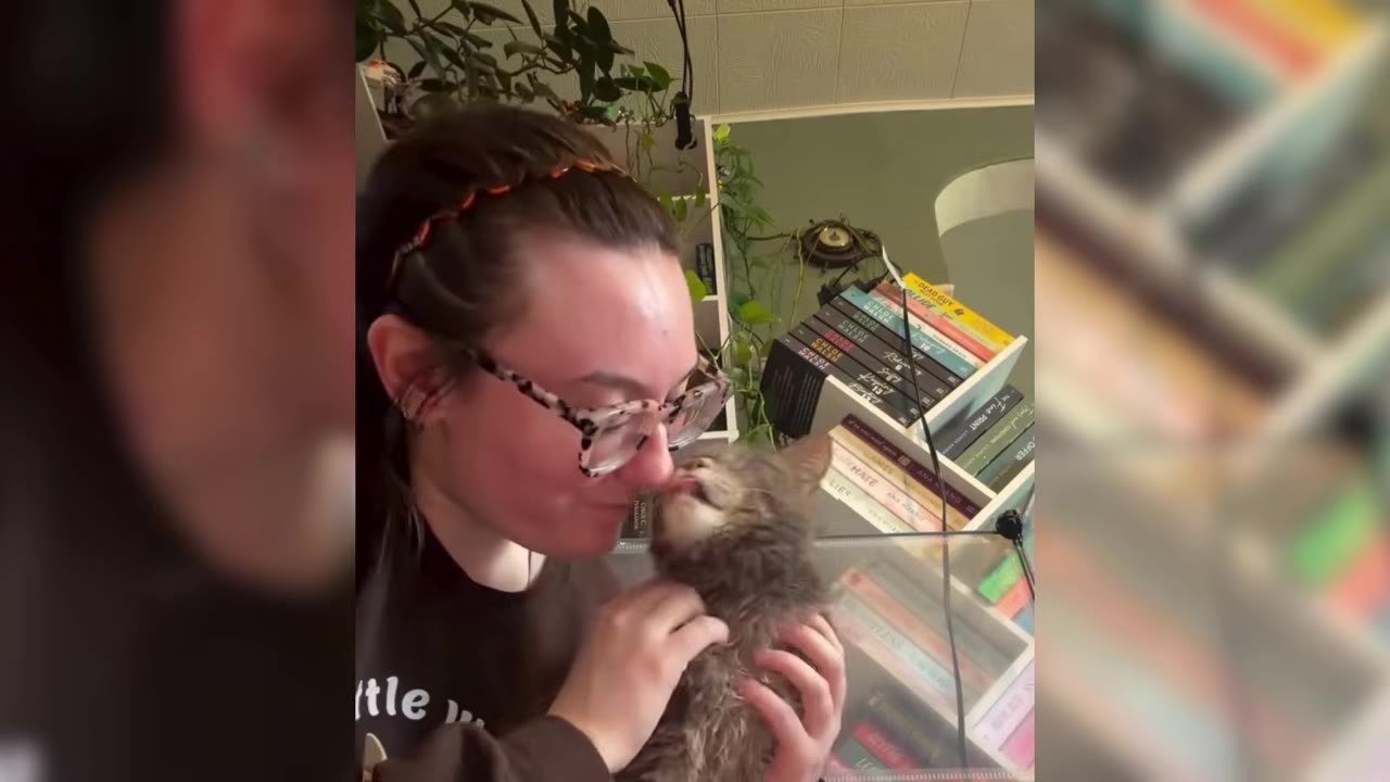 A woman wearing glasses and a headband holds a small grey kitten close to her face as the kitten licks her nose.