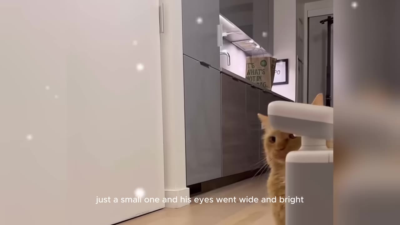 An orange cat peeking out from behind a white structure in an apartment hallway, looking curious with wide eyes.
