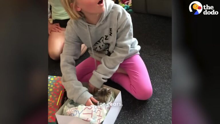 California Veterinarian Brings Home A “Broken” Kitten, And His Daughter’s Reaction Is Everything