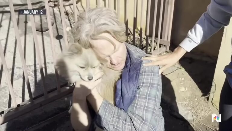 California Dog Trapped In Wildfire Rubble Inspires A Historic Change That Leaves His Owner Stunned