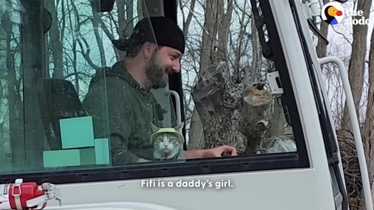 NY Man Swore He Didn’t Want Any Pets, But One Frostbitten Kitten Completely Changed His Life