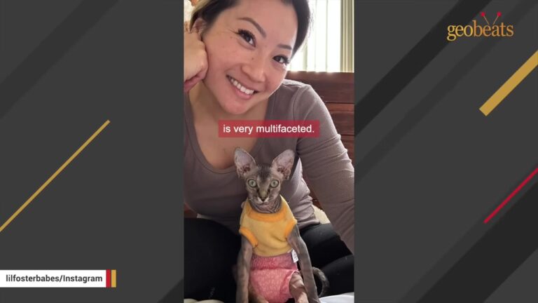 LA Kitten Arrived Dragging Her Back Legs, But Endless Love And A Custom Wardrobe Changed Everything