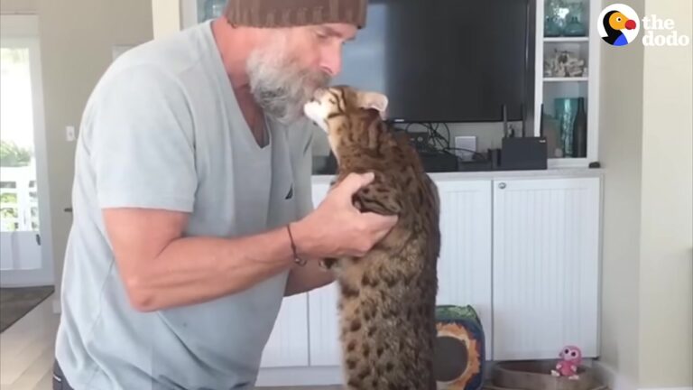 California Man Worries His Kissing Cat Will Reject A New Baby, But The Cat’s Reaction Leaves Him Stunned