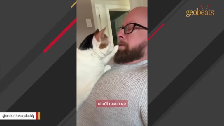 Texas Rescue Cat Has Strict Morning Routine, And Her Dad Is Left Speechless When She Shushes Him
