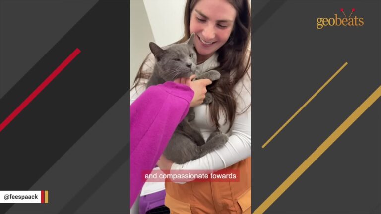 Ohio Woman Rushes Injured Cat To The Vet, Never Expecting Him To Become Her Greatest Adventure Buddy