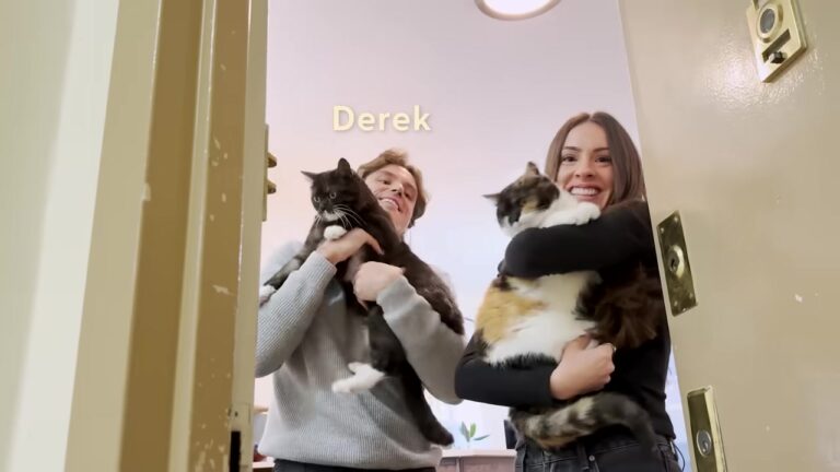 NY Couple Adopts 2 Tiny Kittens, Then Transforms Their Apartment Into The Ultimate Feline Paradise