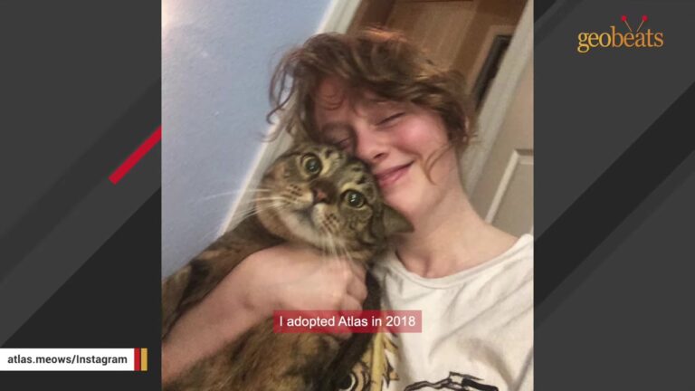 Texas Woman Walks Away From Shelter Cat Until One Small Sound Changes Both Their Lives