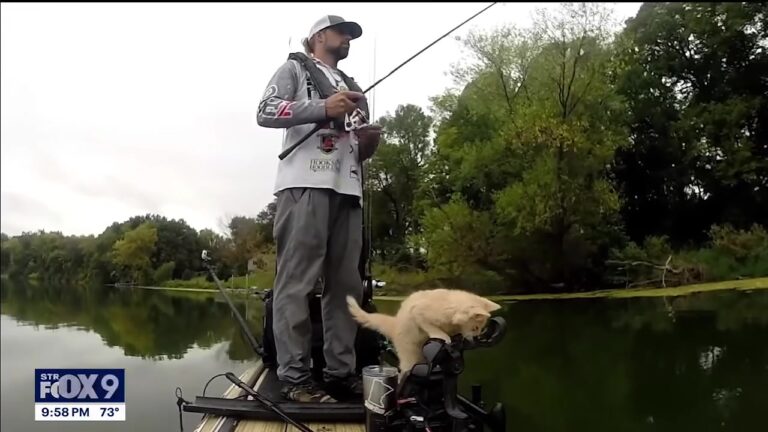 Minnesota Angler Hears Yowling From The Shore, Then Discovers An Unexpected New Friend