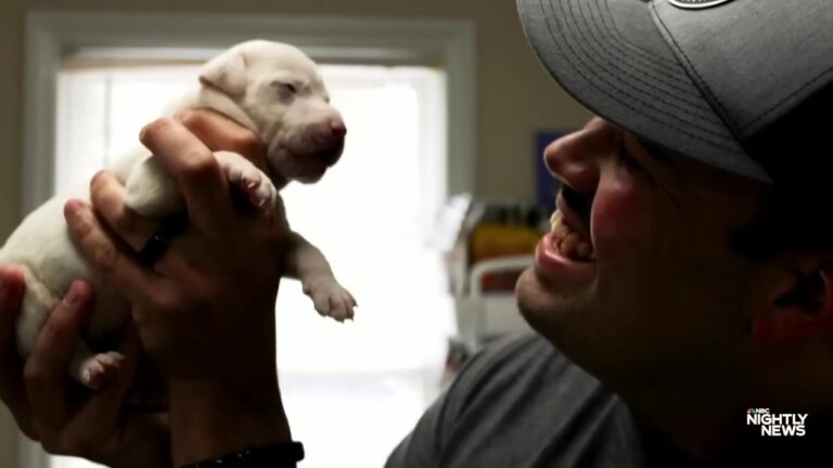 Georgia Firefighter Saves Puppies From Burning Home And Ends Up With The Reunion Of A Lifetime