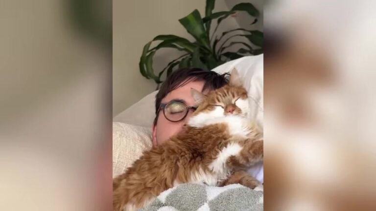 Georgia Shelter Cat Shut Down For 8 Months Does Something Completely Unexpected To Show He’s Finally Home