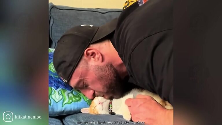 California Skateboarder Notices A Limping Kitten And Completely Changes His Life For Her
