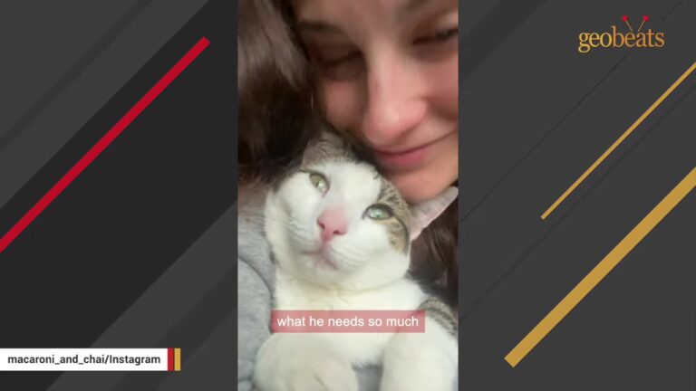 California Kitten Born With A Wobbly Walk Meets A Special Friend Who Understands His Struggles