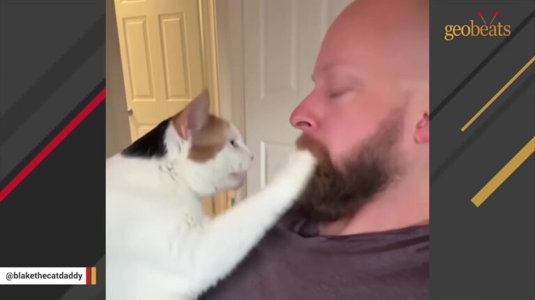 Ohio Rescue Cat Starts A Morning Routine, But Her Dad Is Left Speechless By Her Strict Demand