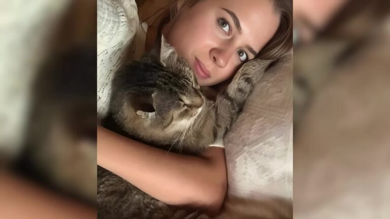 Woman Visits NY Shelter Just To Donate Food, Then A Bleeding Kitten Turns Her Day Around