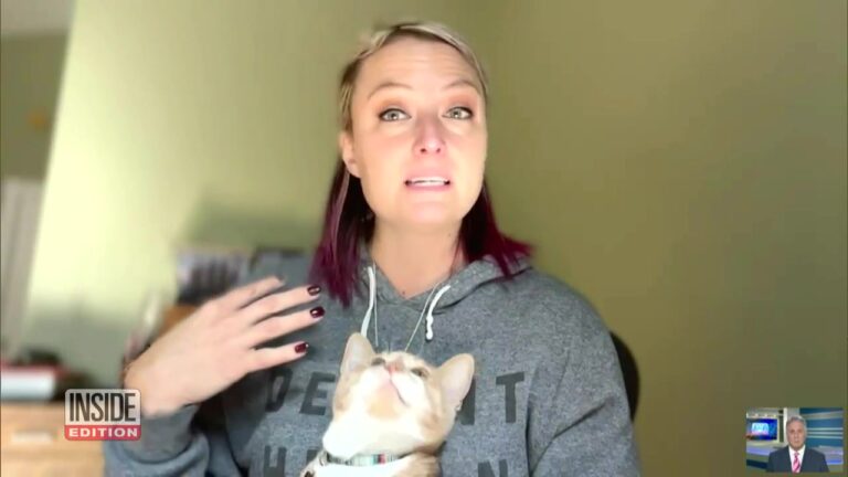 Michigan Kitten Starts Screaming In The Middle Of The Night And Uncovers A Silent Danger