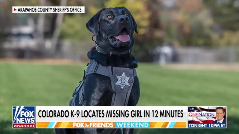 Colorado K-9 Tracks Missing Girl In 12 Minutes And Immediately Shows His Gentle True Colors
