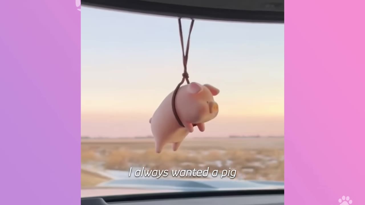 A small pink toy pig hanging from a car's rearview mirror with the text overlay 'I always wanted a pig' against a sunset background.