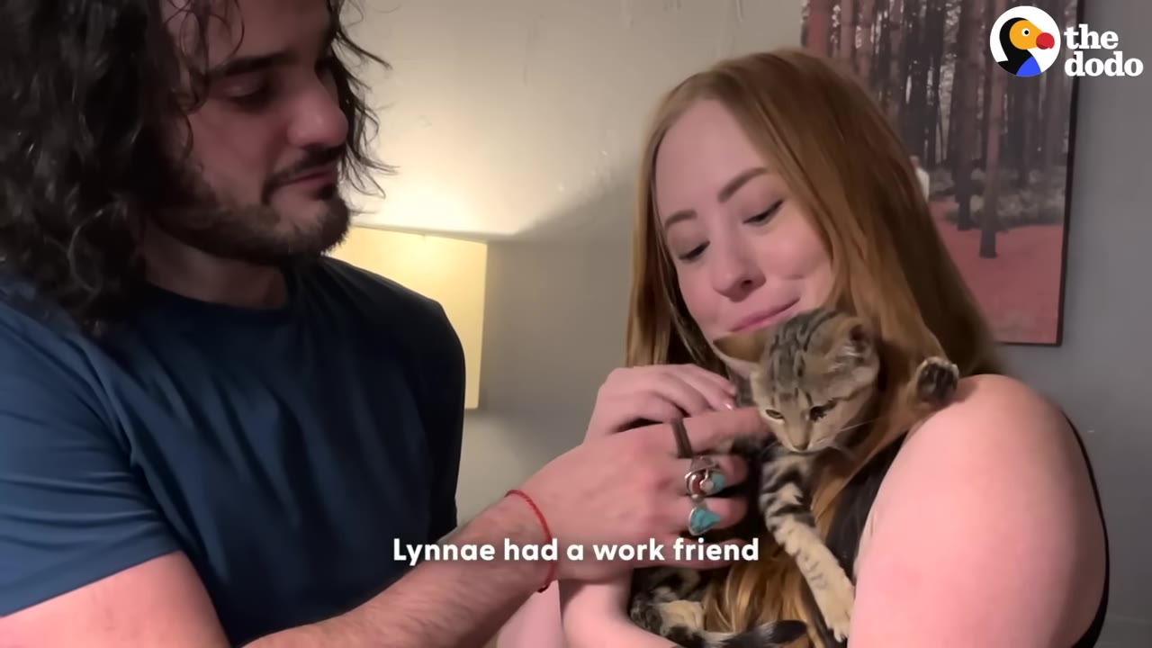 A man and a woman holding a small tabby kitten together, with the text 'Lynnae had a work friend' displayed on the screen.