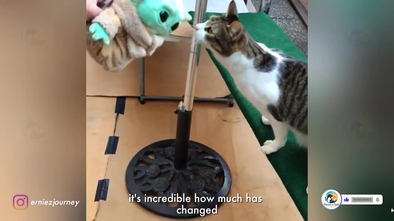 A brown and white tabby cat stretches its neck to sniff a small Grogu plush toy held near a metal stand.