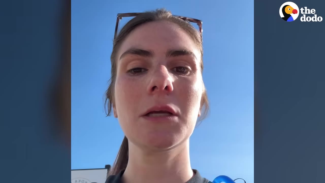 A close-up shot of a woman with brown hair pulled back, wearing sunglasses on her head, looking directly into the camera against a clear blue sky.