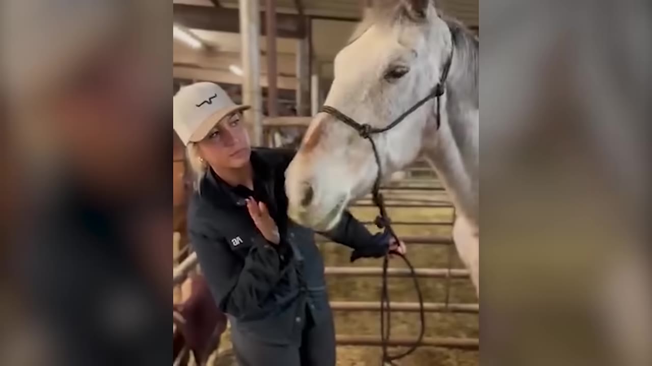 A woman wearing a baseball cap and a black jacket gently approaches and touches a light-colored horse wearing a halter in a stable.