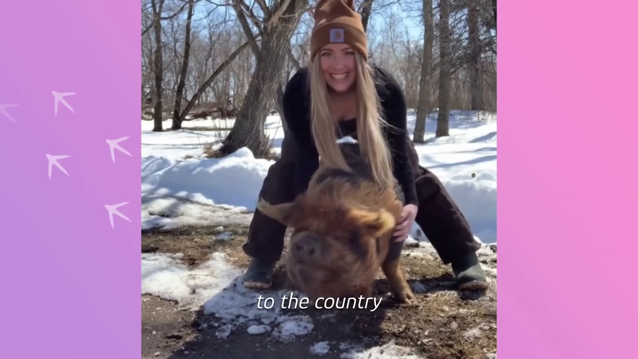 A smiling woman wearing a brown beanie and black top hugs a large, furry brown pig in a snowy, wooded outdoor setting.