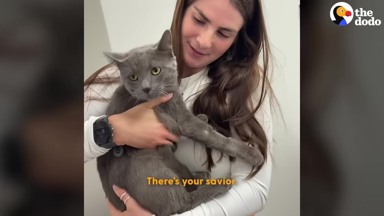 A woman with long brown hair holds a grey cat in her arms, looking down at it with a gentle smile.
