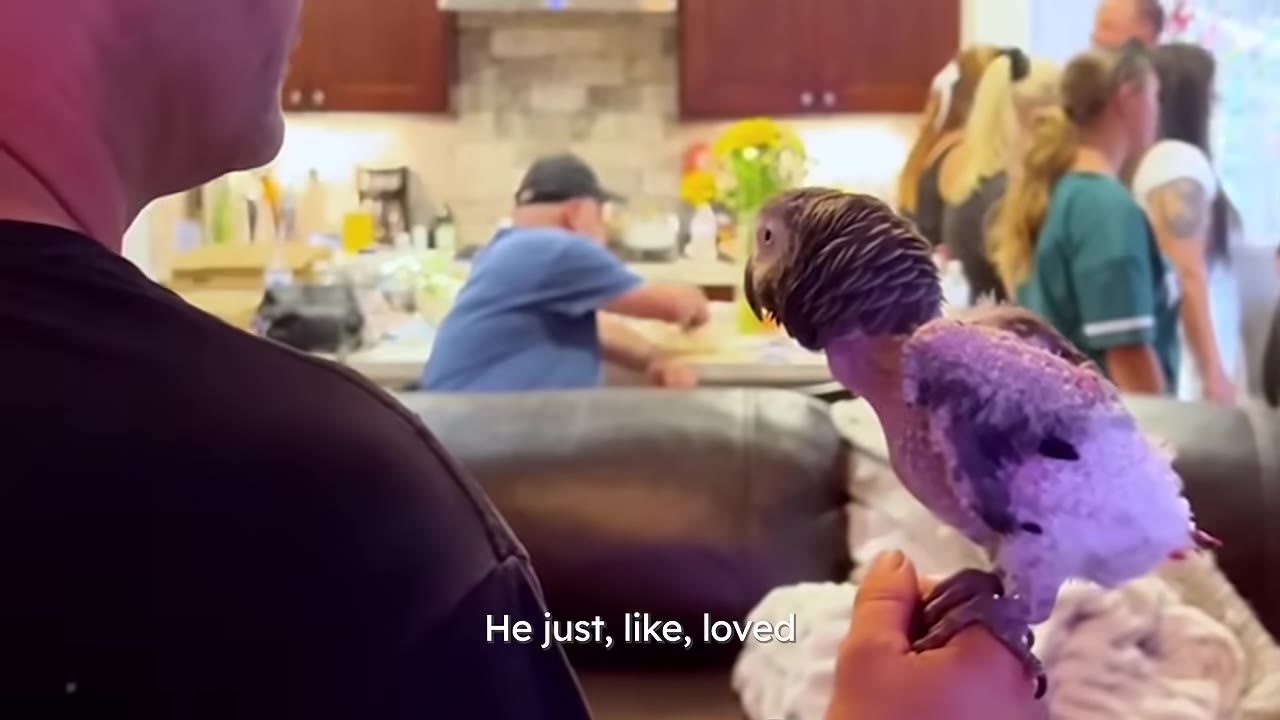 A mostly featherless grey parrot perched on a person's hand in a living room, with family members gathered in the background kitchen area.