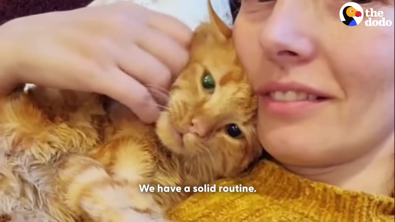 An orange tabby cat cuddles close to a smiling woman's face as she gently pets him.