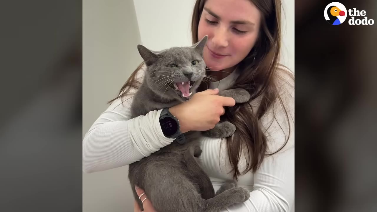 A woman with long brown hair smiles gently as she holds a grey cat in her arms.