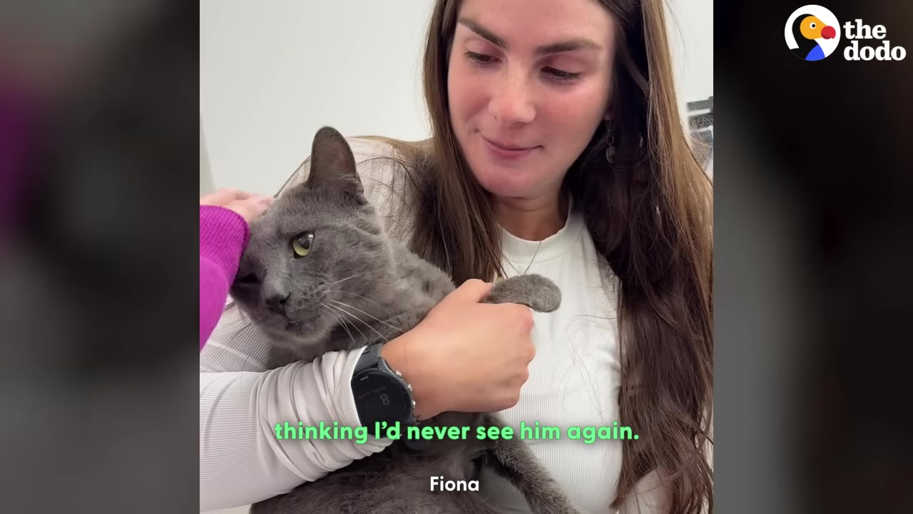 A woman with long brown hair smiles gently as she holds a grey cat in her arms.