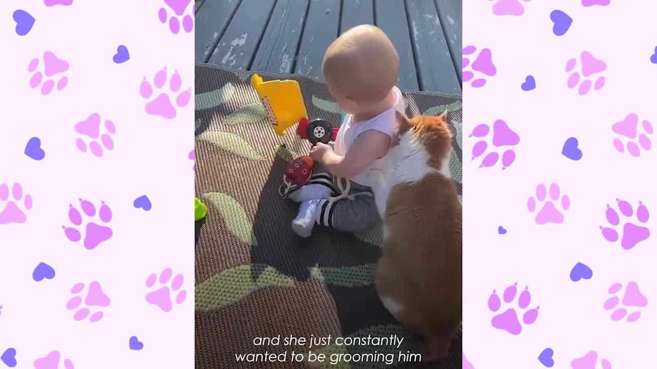 An older baby sits on an outdoor mat playing with a toy truck while an orange and white cat sits closely behind him, leaning against his back.