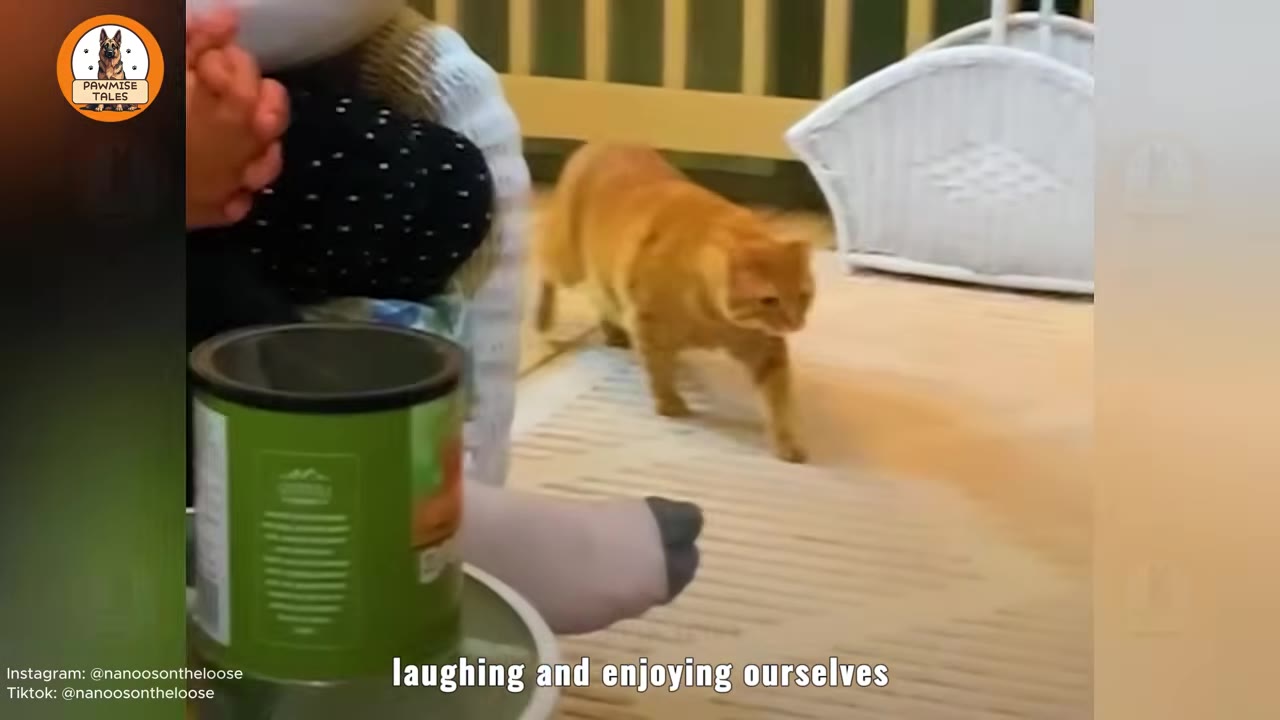 An orange cat walking across a rug on a patio near a person's feet.