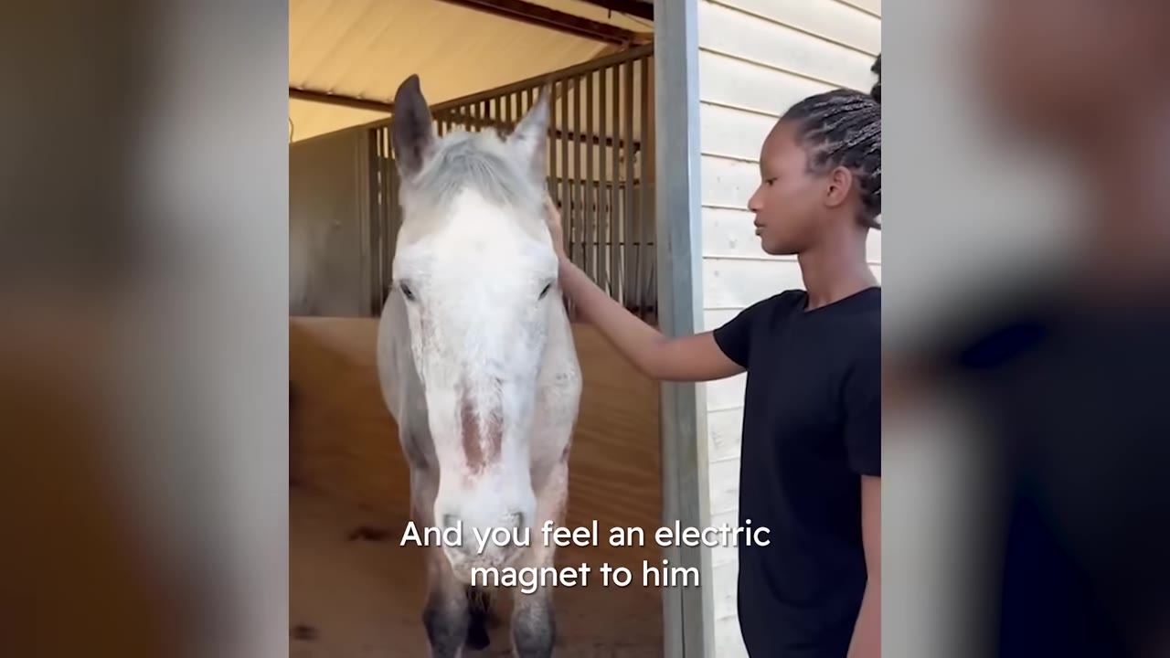 A young woman with braided hair gently pets a light-colored horse standing in a stable doorway.