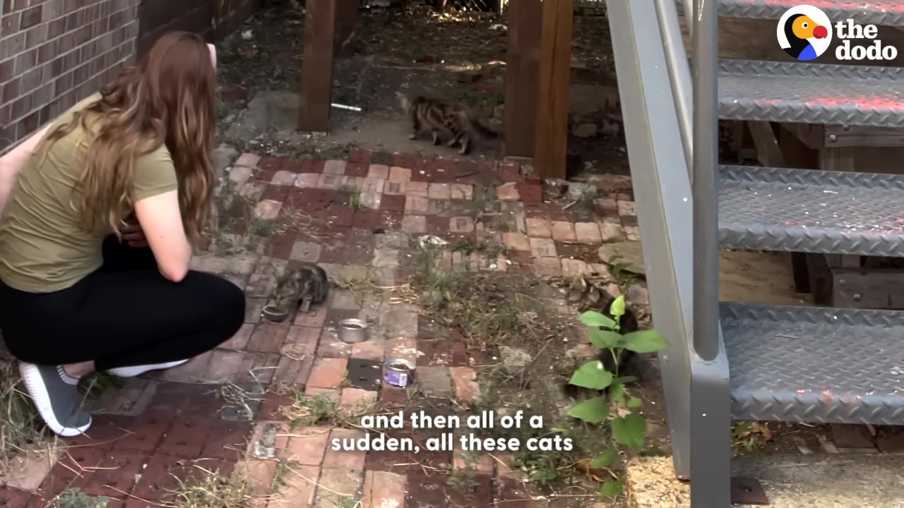 A woman with long brown hair crouches on a brick patio, surrounded by several small cats and food bowls.