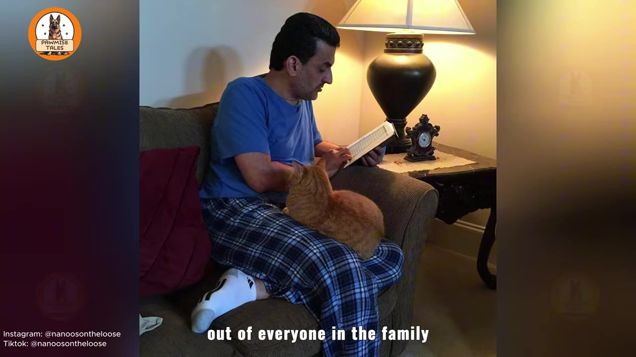 An orange cat sits on the lap of a man wearing plaid pajama pants and a blue shirt as he sits on a couch reading a book.