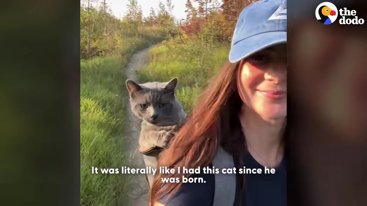 A smiling woman wearing a blue cap and backpack hikes on a trail with a grey cat riding in her backpack.