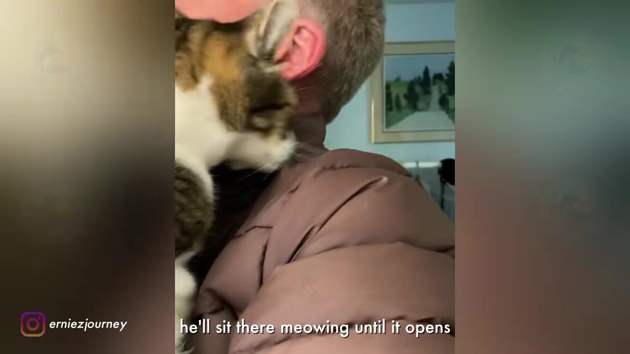 A close-up shot of a tabby and white cat nuzzling the neck of a man wearing a brown puffer jacket.