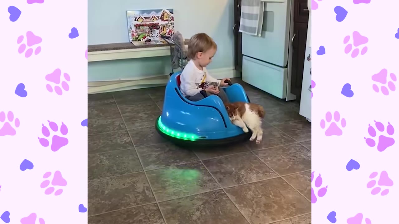 A young boy sits in a blue toy bumper car while an orange and white cat rests its head and front paws over the side of the car next to him.