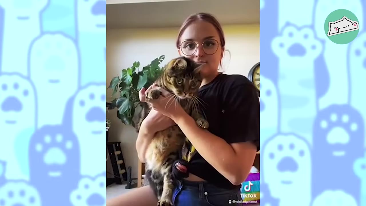 A young woman with glasses holding a brown tabby cat in her arms.