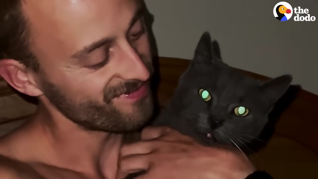 A close-up of a smiling man with a beard holding a grey cat close to his chest.