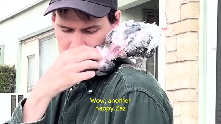 Texas Parrot Lost His Favorite Person Of 20 Years, But A Gentle Soul Helped Him Love Again
