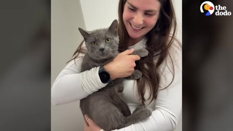 California Woman Rushes Injured Cat To The Vet Expecting The Worst, But Gets A Beautiful Surprise